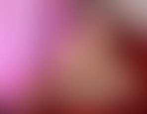 00217_Boner
