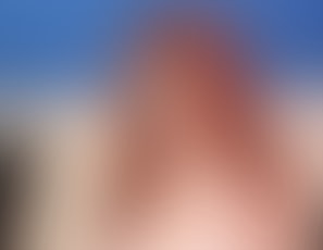 00239_Assets