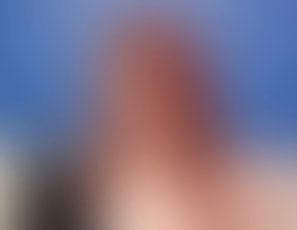 00239_Assets
