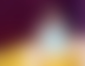 00493_JOI
