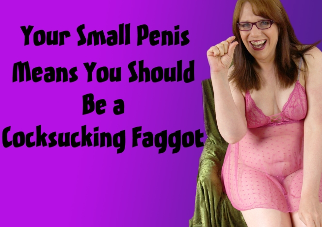 00542_SmPenisFaggot