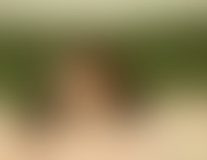 00806_MissAss