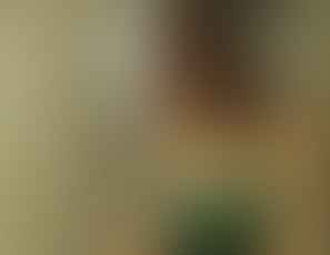 00812_SMSatinPillow