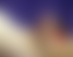 00893_CounselSed